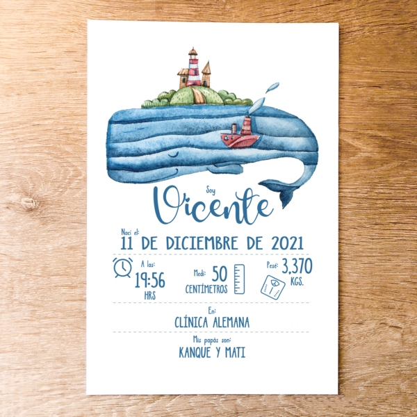 CUADRO NACIMIENTO