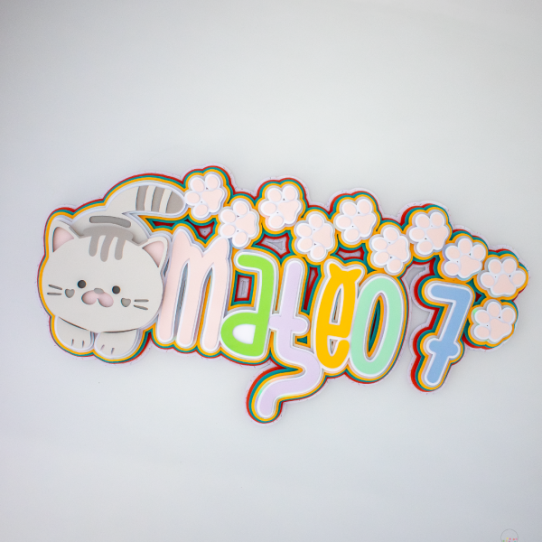 CUADRO CAPAS PERSONALIZADO